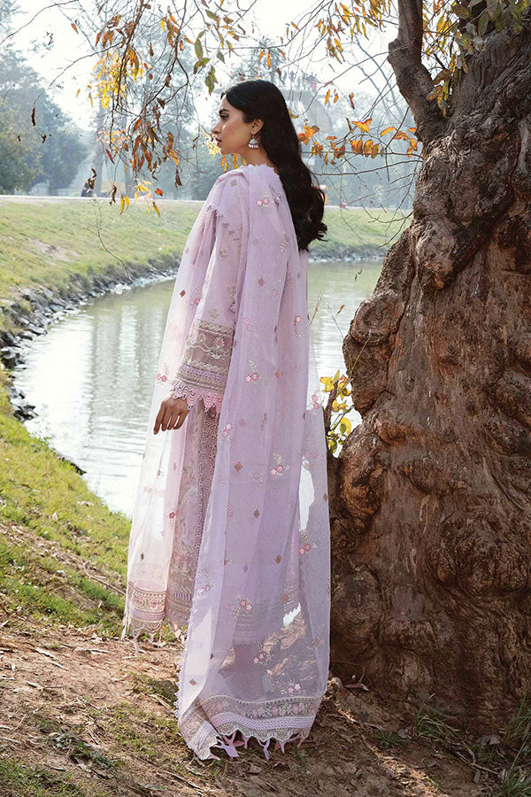 Qalamkar Qline Lawn Collection`23 AK#08 (SIBEL)