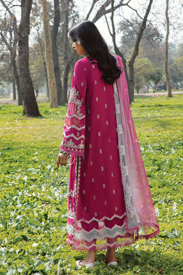 Qalamkar Qline Lawn Collection`23 AK#13 (LARISA)