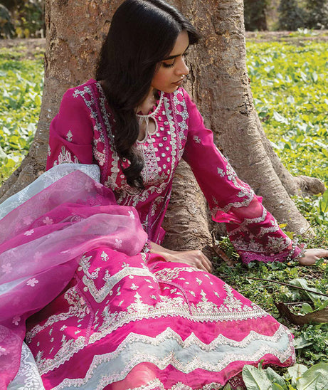 Qalamkar Qline Lawn Collection`23 AK#13 (LARISA)