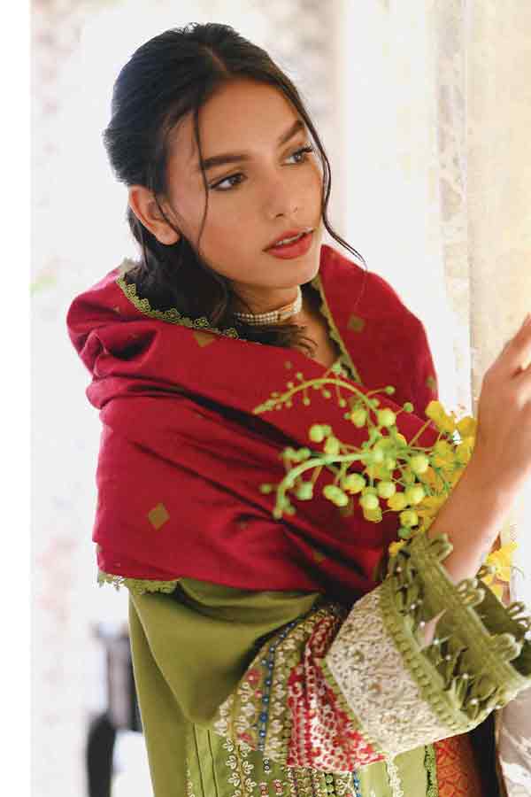 Qalamkar Qline Linen‘22 Anjum VL#14