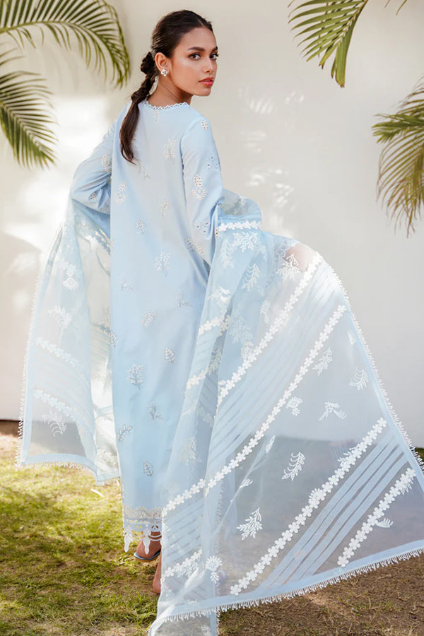 Qalamkar Qlinekari Lawn Collection ‘23 D#5 KAYA
