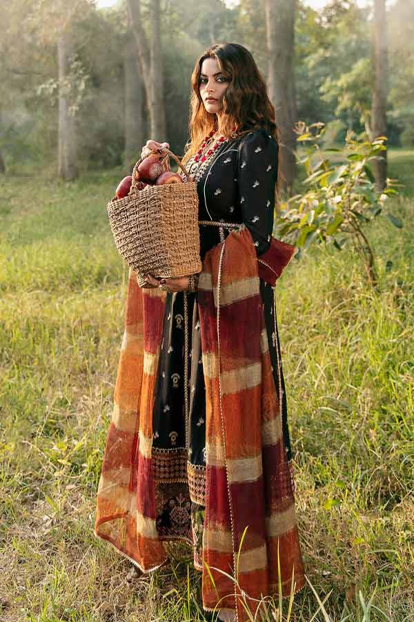 Qalamkar Winter Shawl Collection`21 D#02