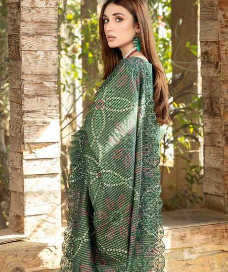 RA Aafreen Zari Lawn'23 Vol-02 AF#20