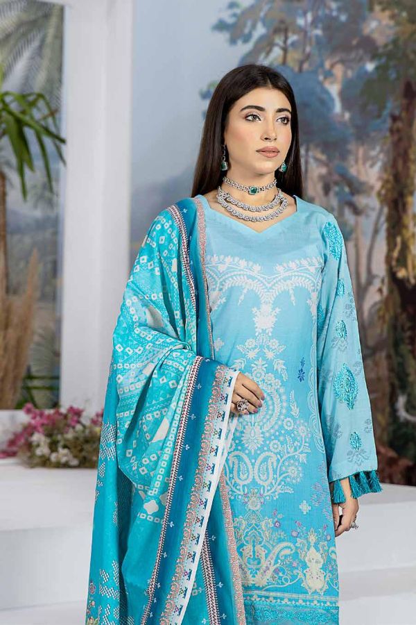 RA Aafreen Emb Slub Linen`22 D#3