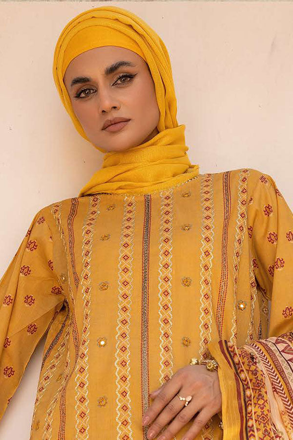 RA Gul-e-Zarki Crocus Lawn`25 D#11