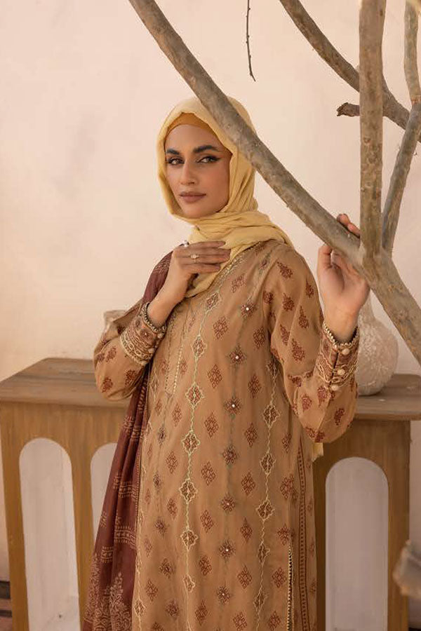 RA Gul-e-Zarki Crocus Lawn`25 D#13