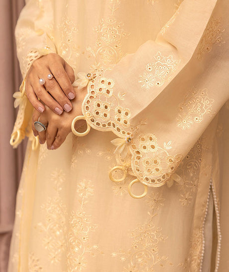 RA Mahees Afshan Lawn`25 D#3