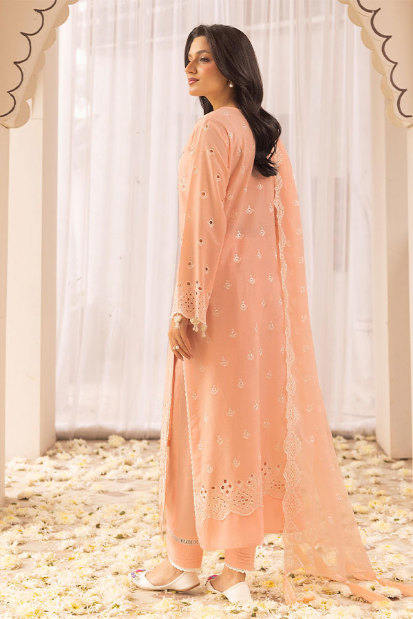 RA Mahees Afshan Lawn`25 D#6