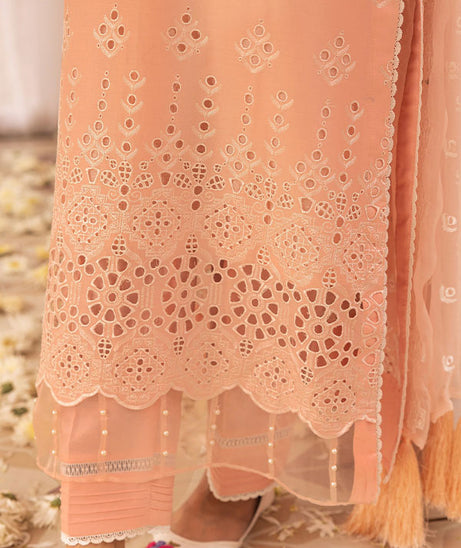 RA Mahees Afshan Lawn`25 D#6