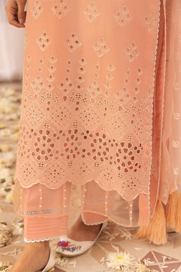 RA Mahees Afshan Lawn`25 D#6