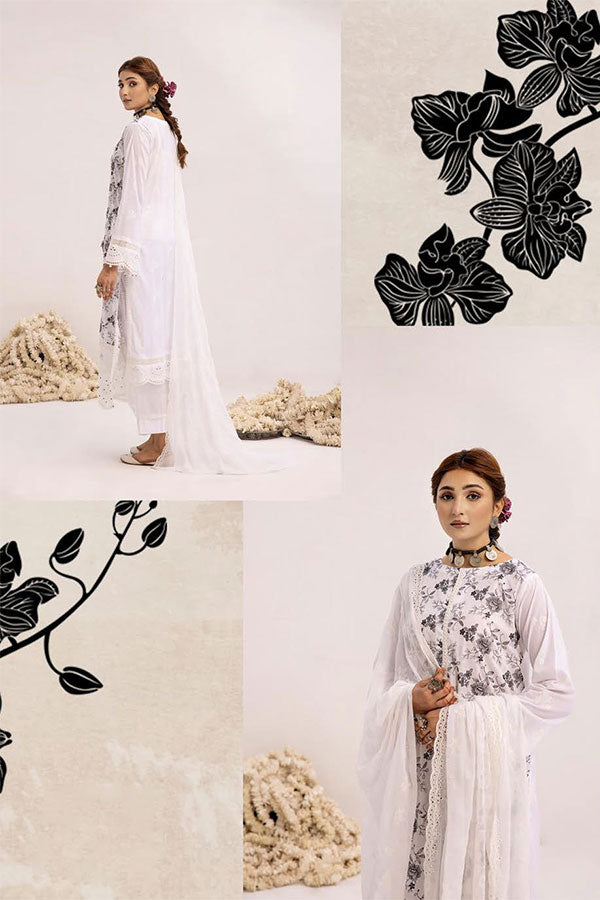 RA Mahees C/Kari Lawn'24 V#10 ML#6