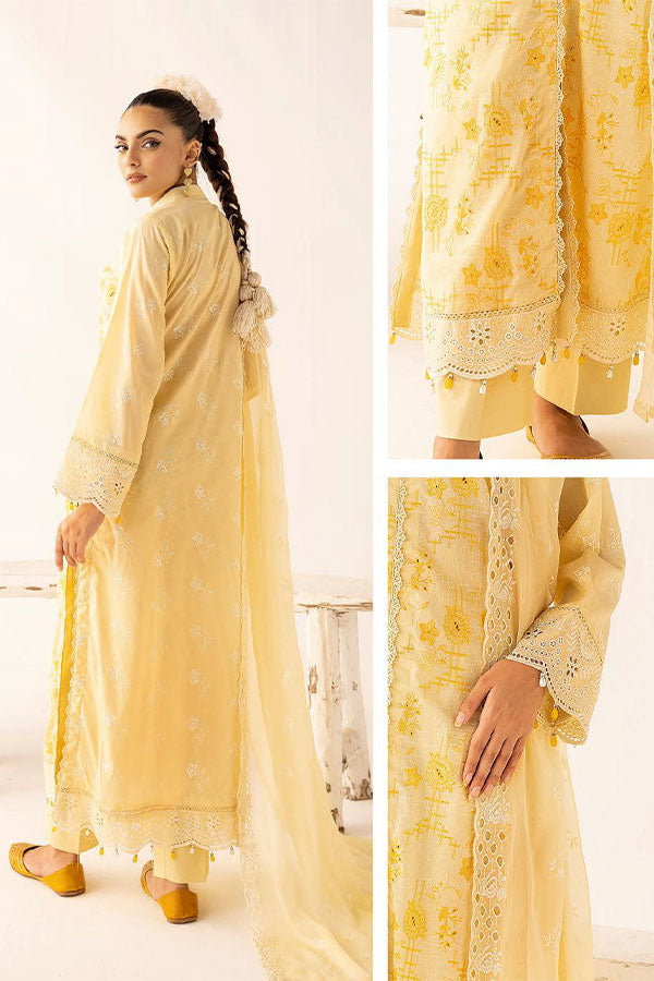 RA Mahees Shenaai Lawn'24 D#7