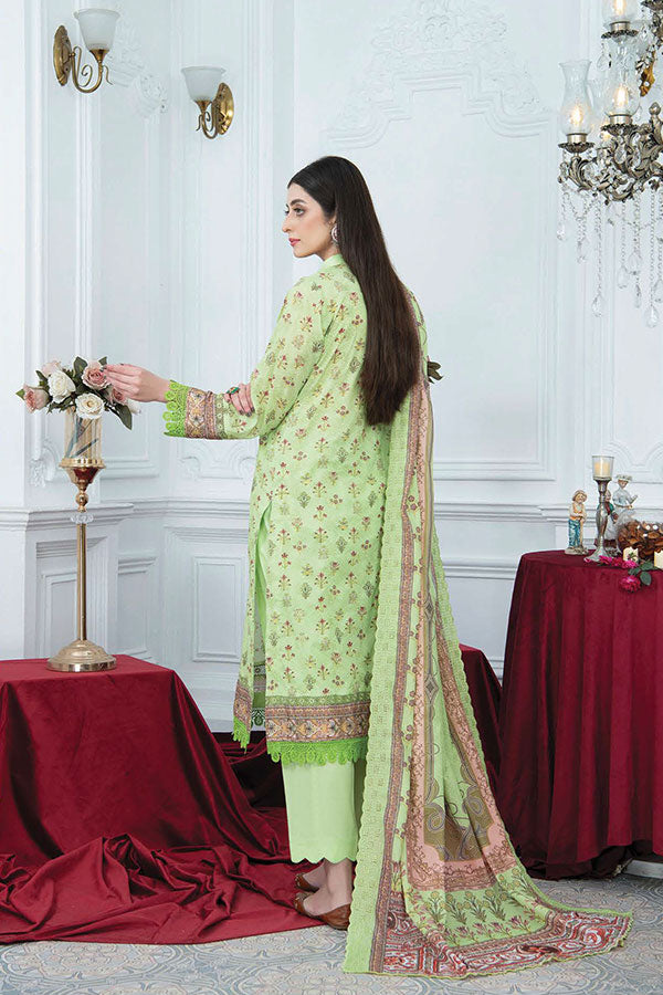 RA Mashal D/Lawn'24 V#12 ML#9