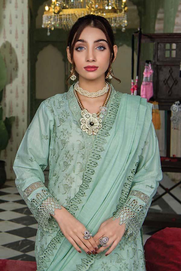 RA Meraki C-Kari Lawn`24 Vol-2 D#09