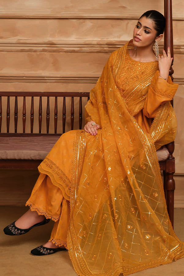 RA Tehzeeb J/Khaddar'24 TL#262