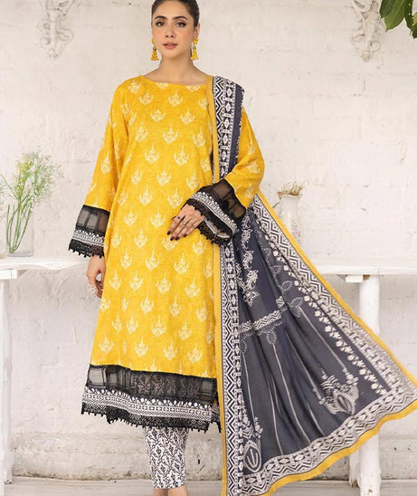 RA Zarki`s Print Khaddar`24 ZK#04
