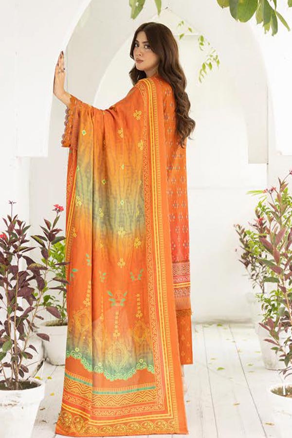 RA Zarki`s Print Khaddar`24 ZK#06