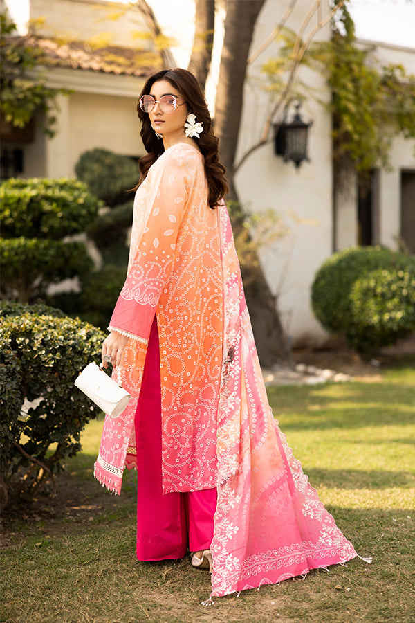 RA Aafreen Emb Lawn`25 V#6 AF # 198