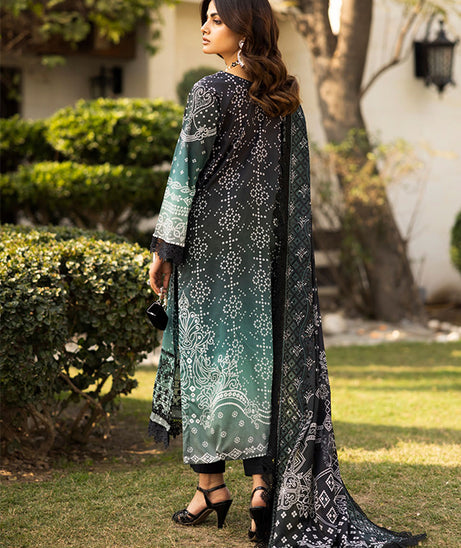 RA Aafreen Emb Lawn`25 V#6 AF # 201