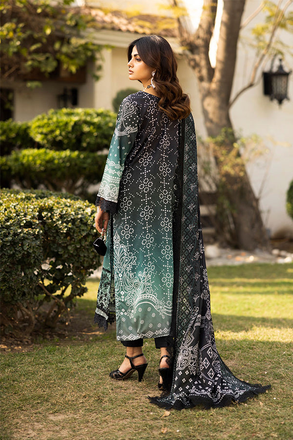 RA Aafreen Emb Lawn`25 V#6 AF # 201