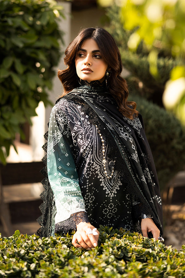 RA Aafreen Emb Lawn`25 V#6 AF # 201