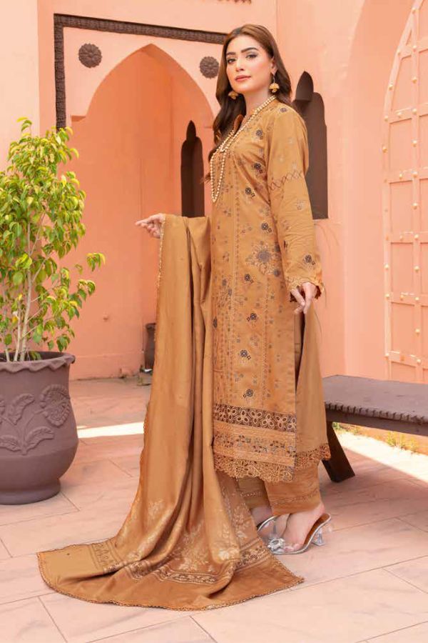 RA Chinar Luxury Emb Jacquard`24 D#01