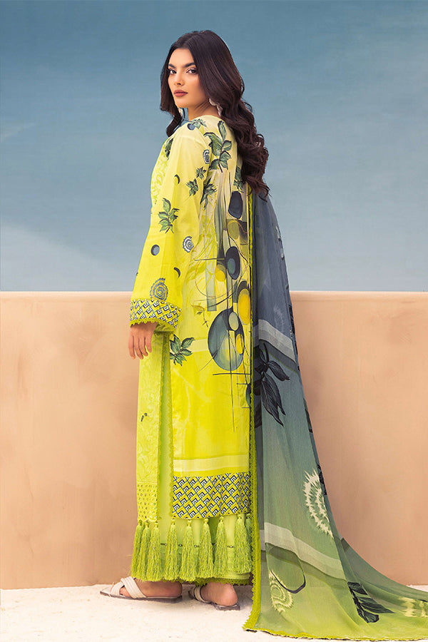 RA Mahee`s R/Bahar Lawn` 25 V#9 M#02