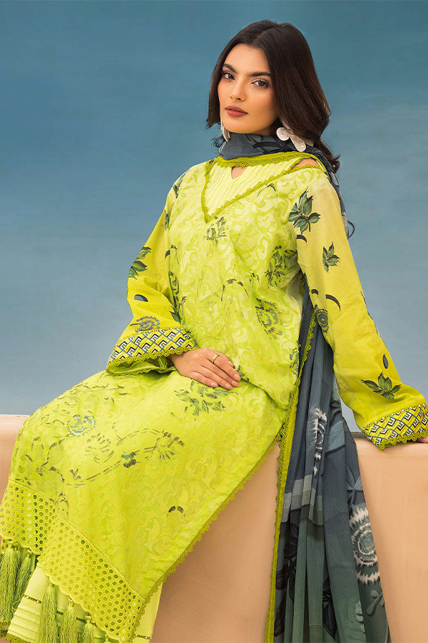 RA Mahee`s R/Bahar Lawn` 25 V#9 M#02