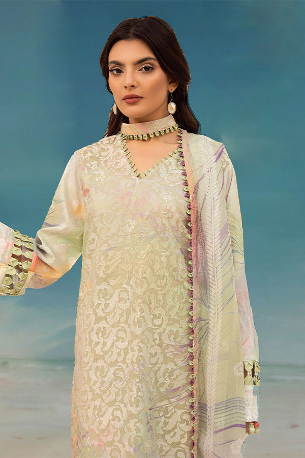 RA Mahee`s R/Bahar Lawn` 25 V#9 M#06