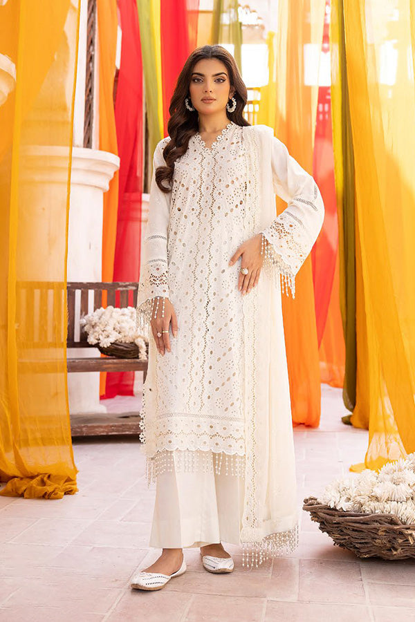 RA Mahees Maira Lawn'24 V-23 D#02
