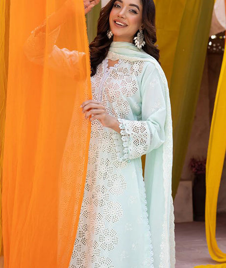 RA Mahees Maira Lawn'24 V-23 D#04