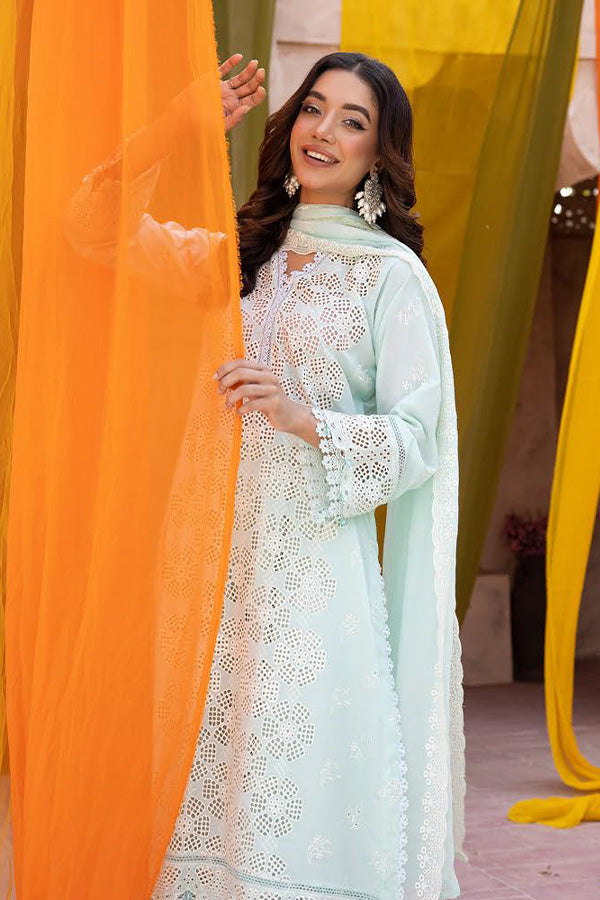 RA Mahees Maira Lawn'24 V-23 D#04