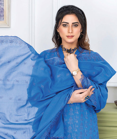 RA Meraki C/Kari Lawn`25 V#02 D#03