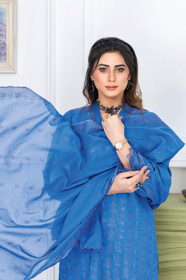 RA Meraki C/Kari Lawn`25 V#02 D#03