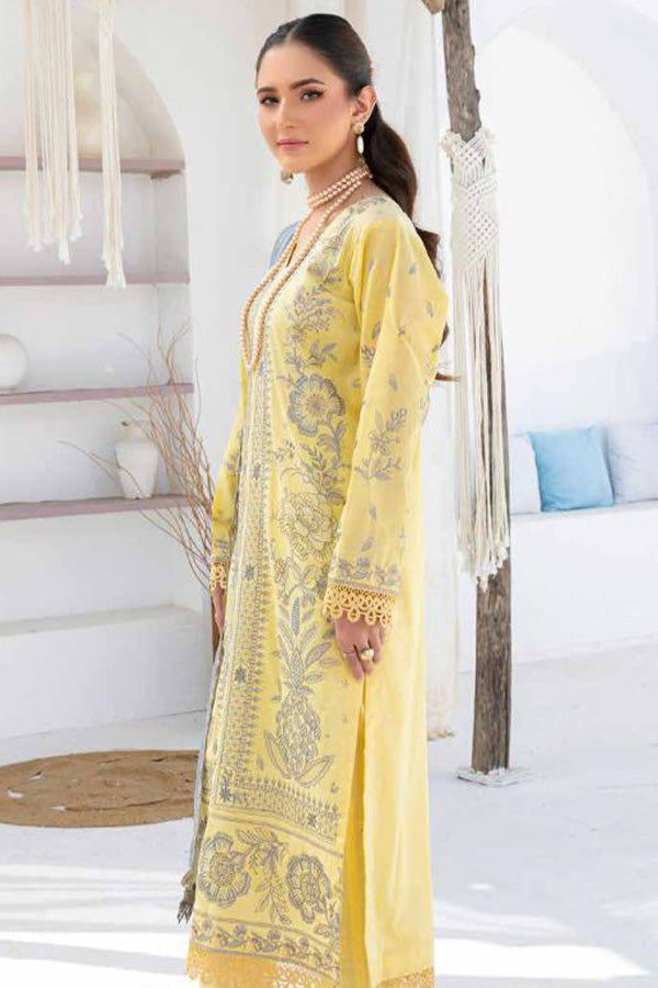 RA Rubab Premium Lawn'24 Vol-2 D#06