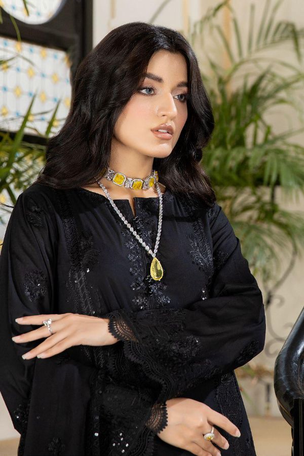 RA Tehzeeb Emb Schiffli Lawn`24 Vol-2 TL#53