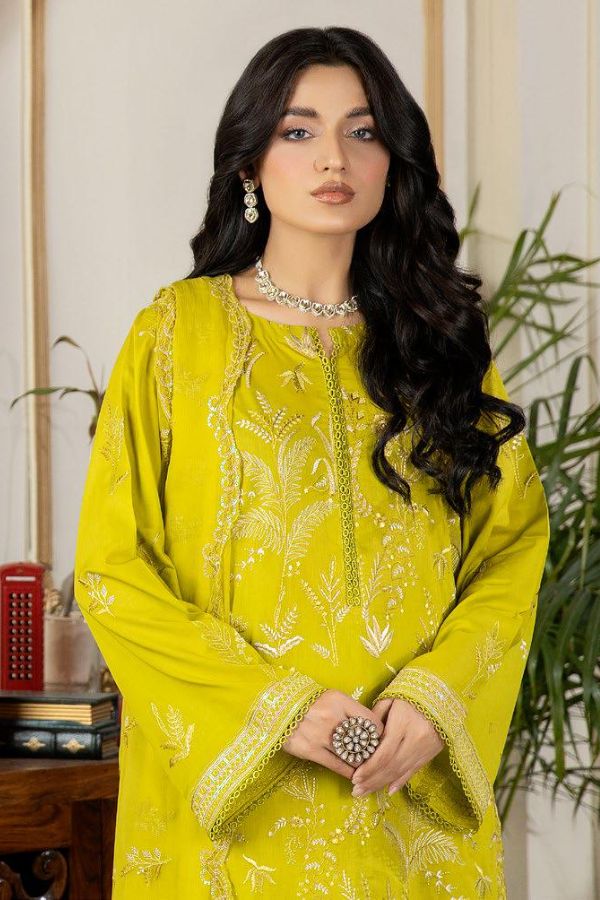 RA Tehzeeb Emb Schiffli Lawn`24 Vol-2 TL#54