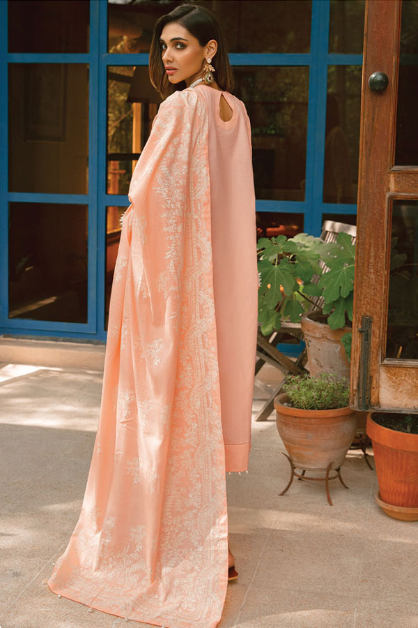 Raaya Luxury Eid Collection`22 D#01