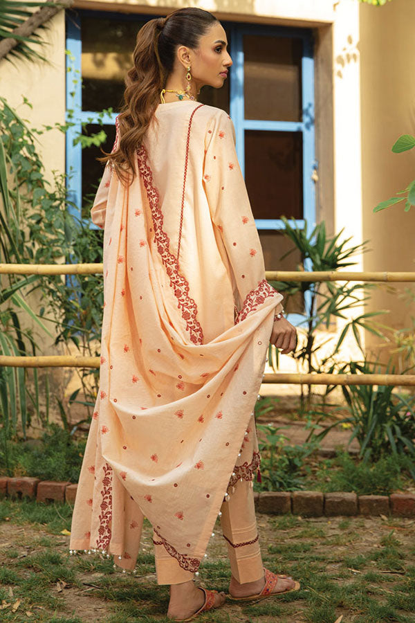 Raaya Luxury Eid Collection`22 D#07