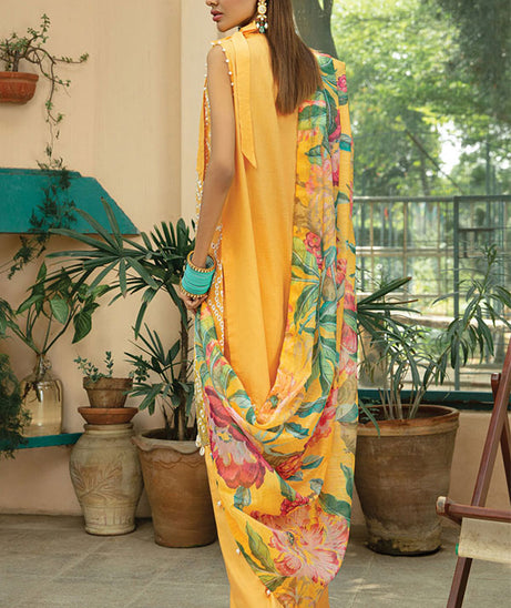 Raaya Luxury Eid Collection`22 D#08