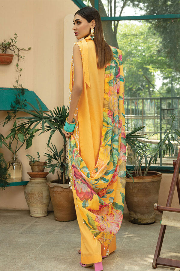 Raaya Luxury Eid Collection`22 D#08