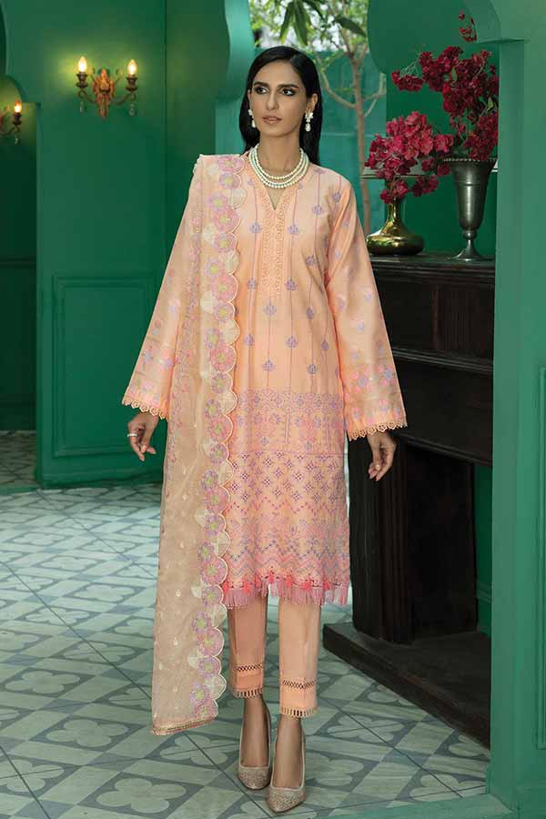 Raj Bari Premium Chikankari`22 D#03