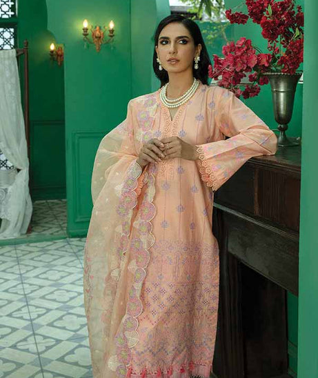Raj Bari Premium Chikankari`22 D#03
