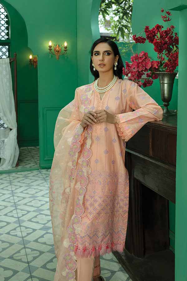 Raj Bari Premium Chikankari`22 D#03