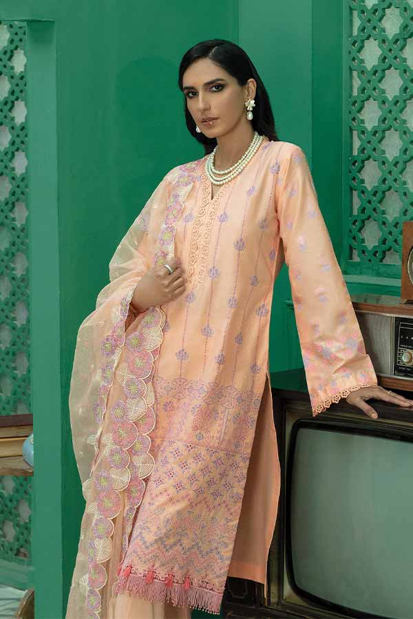 Raj Bari Premium Chikankari`22 D#03