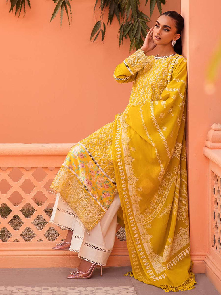 Raj Bari Festive Edit`23 D#2-A