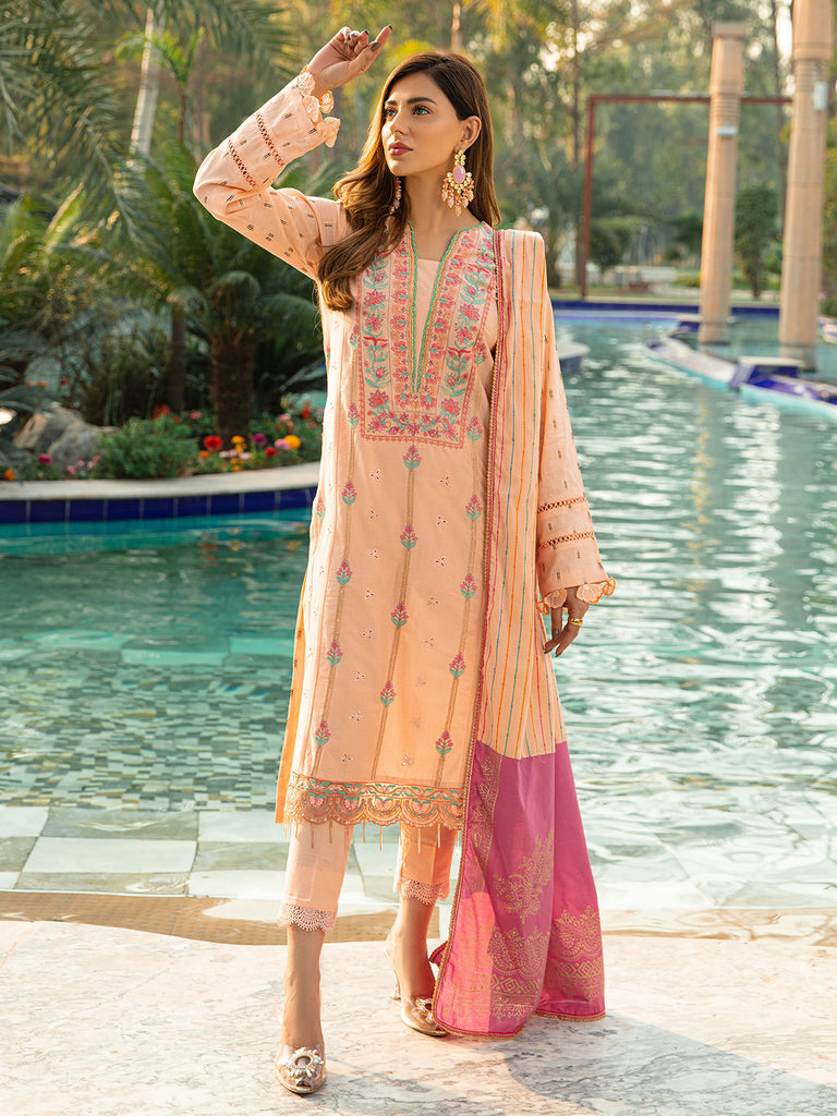 Raj Bari Exclusive V/Jacquard'22 D#8-A