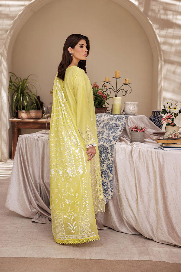 Rajbari Nissa Chikankari S/S Lawn'25 D#2