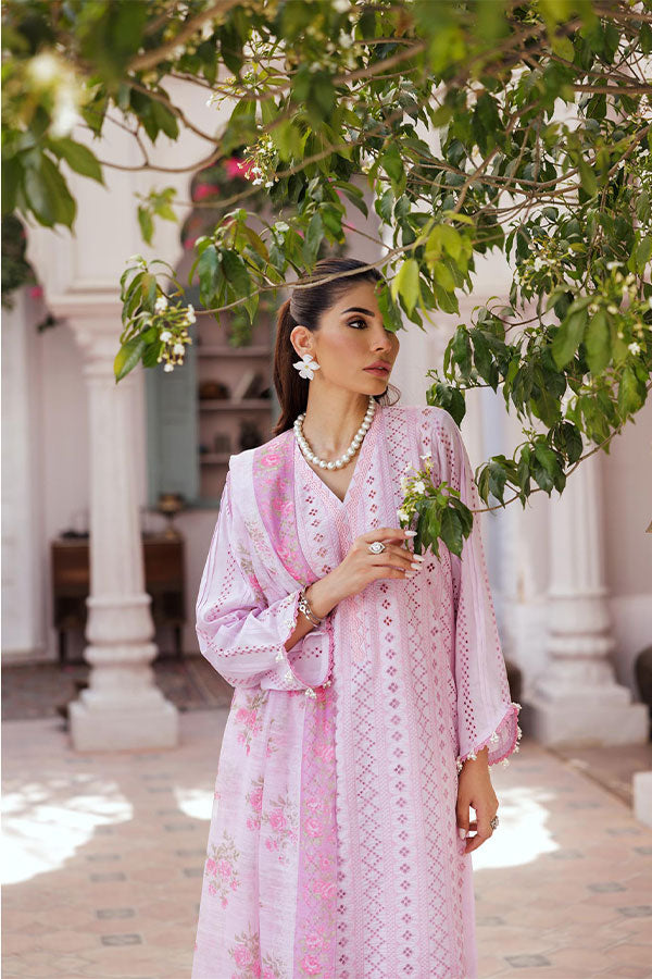 Rajbari Nissa Chikankari S/S Lawn'25 D#6