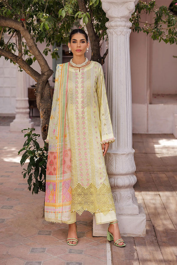 Rajbari Nissa Chikankari S/S Lawn'25 D#9